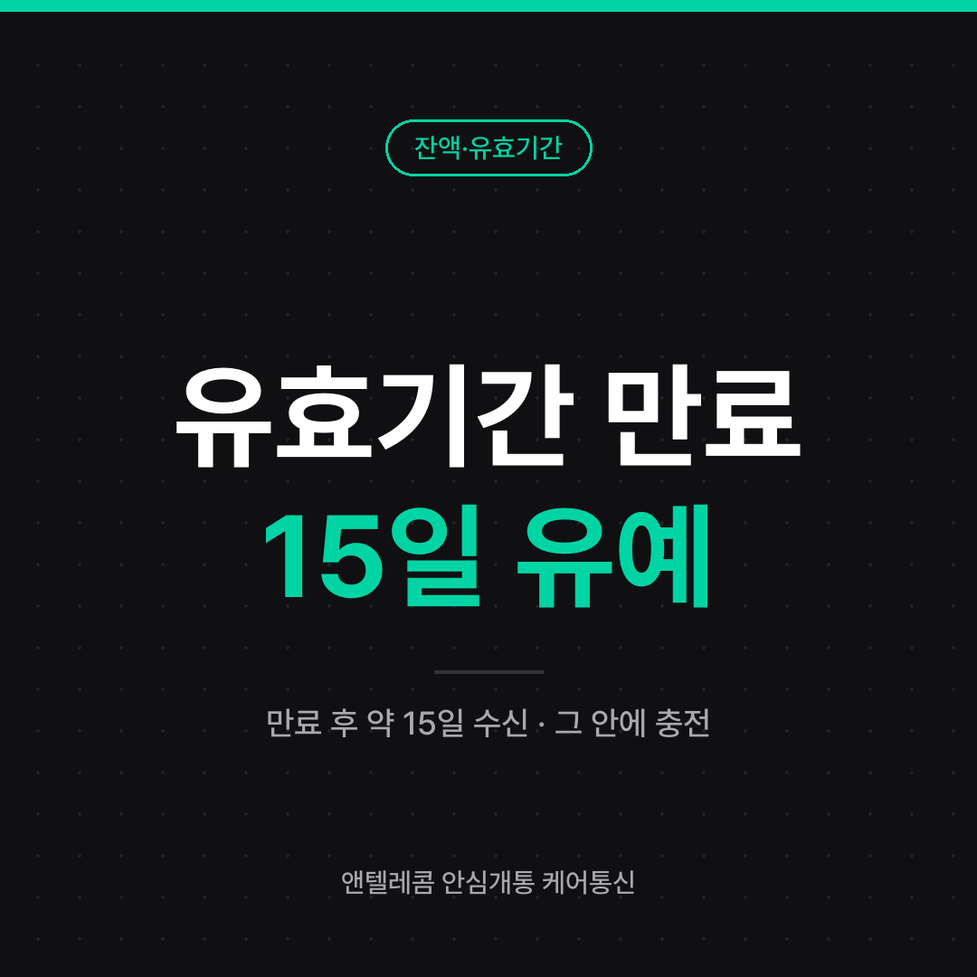 선불폰 잔액과 유효기간 안내 카드 — 만료 후 약 15일 수신 가능, 그 안에 충전하면 계속 사용